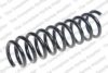 HYUNDAI 55350A6320 Coil Spring